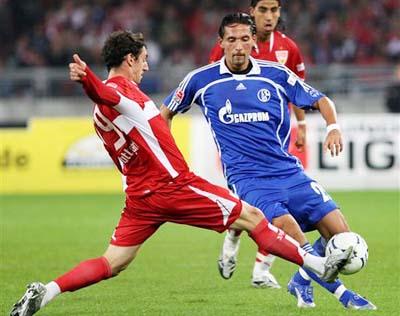 共同维护劳 共同维护劳